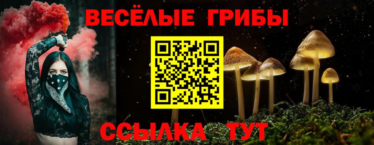 Галлюциногенные грибы Psilocybine cubensis Уссурийск