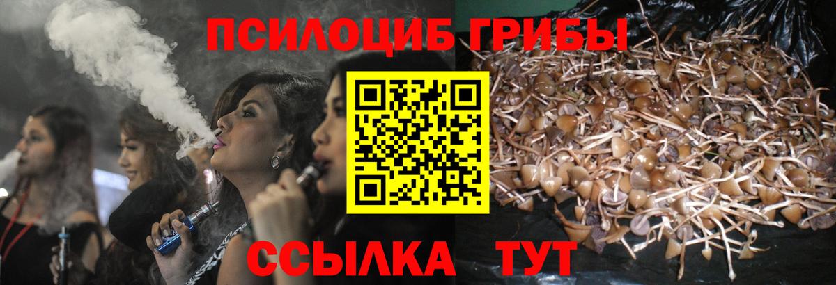 Уссурийск  Галлюциногенные грибы мицелий  Галлюциногенные грибы Cubensis  Вход с VPN 